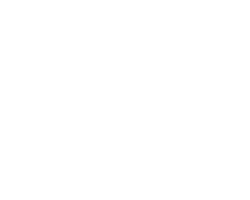 CANNESLIONS.webp