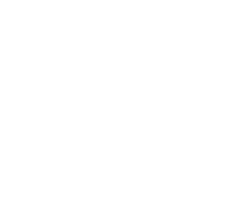 CLIO