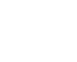 elsol-1.webp